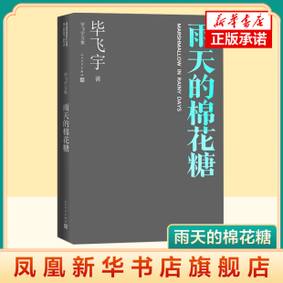 雨天的棉花糖 毕飞宇文集 收入毕飞宇1991年到1994年创作发表的中篇小说 现代当代文学人民文学出版社凤凰新华书店旗舰店正版书籍