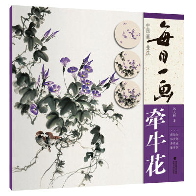 每日一画牵牛花中国画技法