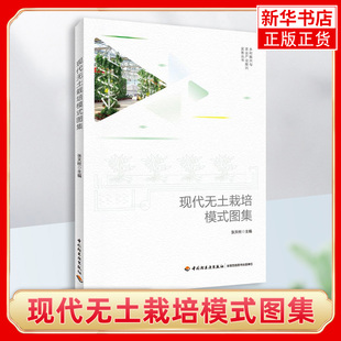 张天柱 基质培水培雾培复合式 书籍 现代无土栽培模式 绿色有机蔬菜种植教程 有机蔬菜无土栽培技术大全 图集 原理特点 正版 栽培模式