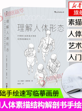理解人体形态绘画教程书籍