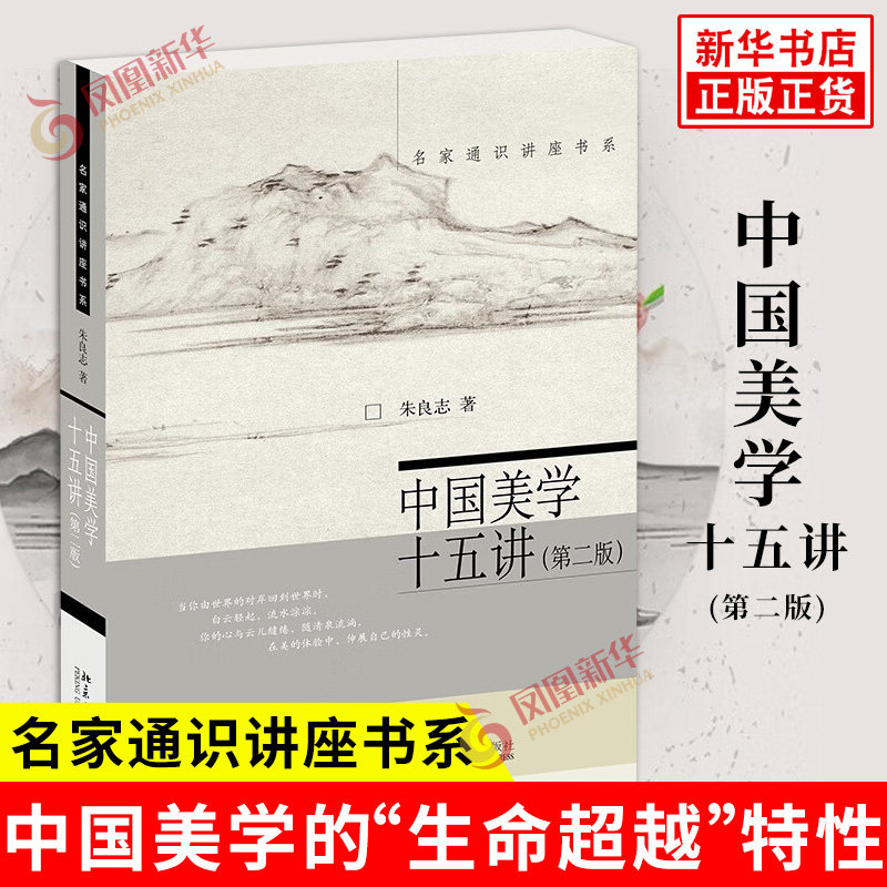 中国美学十五讲 第二版 朱良志 著 境界 和谐 妙悟 形神和养气五个基本美学范畴的讨论等 美学 北京大学出版社 新华书店正版书籍