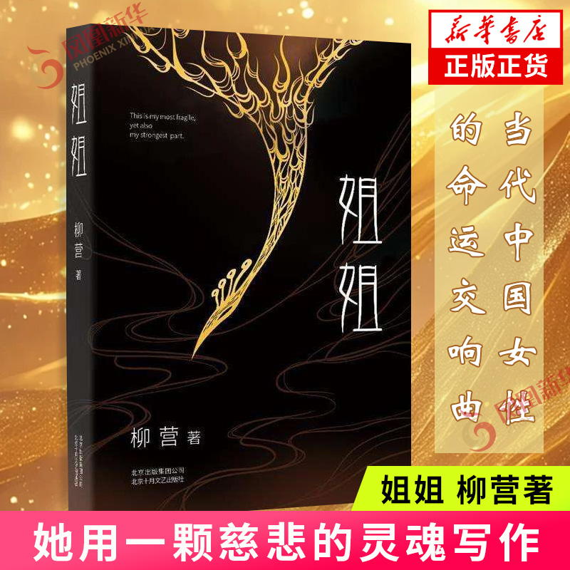 【凤凰新华书店旗舰店】姐姐 柳营著 她用一颗慈悲的灵魂写作 现当代文学小说书籍 当代中国女性的命运交响曲