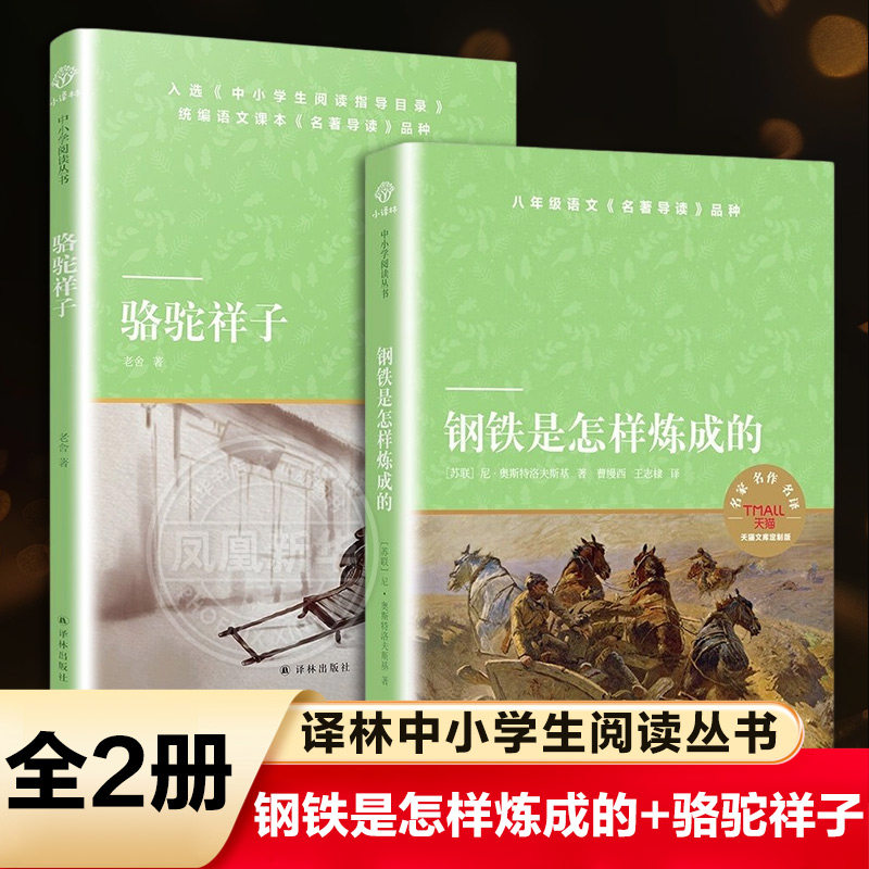 钢铁钢铁是怎样炼成的译林出版社