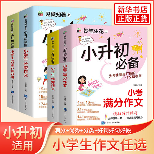 小学生优秀作文小升初人教版