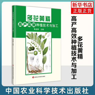 多花黄精高产高效种植技术与加工 中国农业科学技术出版社 农业基础科学 新华正版书籍