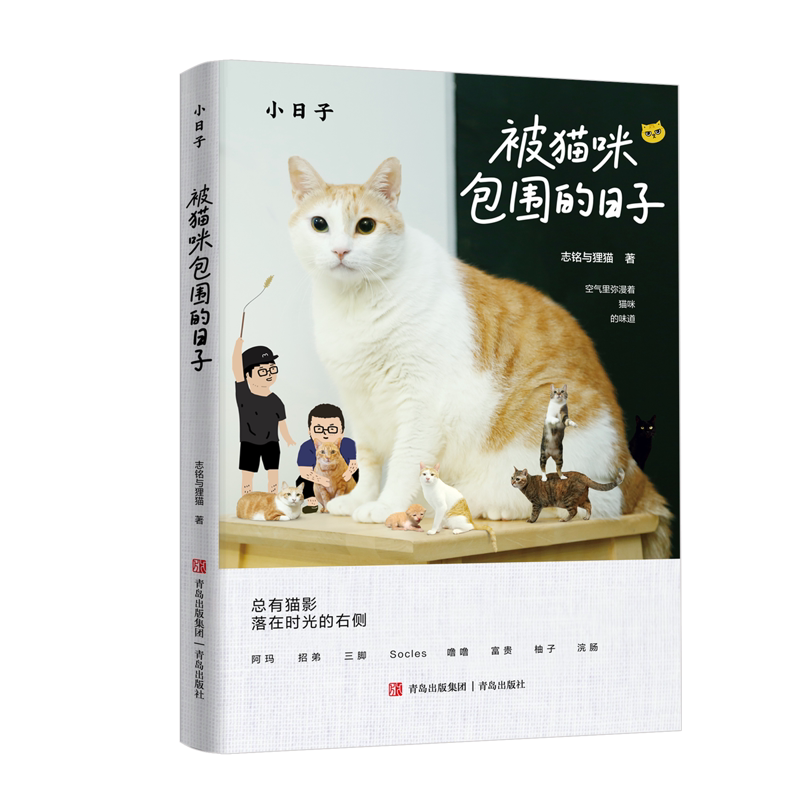 被猫咪包围的日子志铭与狸猫宠物青岛出版社凤凰新华书店旗舰店