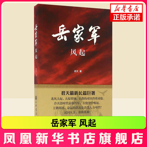 岳家军风起君天长篇历史小说