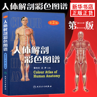 人体解剖彩色图谱(第2版)  人民卫生出版人体解剖生理学艺用人体解剖奈特人体解剖学彩色图谱教材【凤凰新华书店旗舰店】