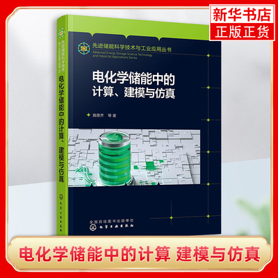 电化学储能中的计算 建模与仿真 施思齐 多尺度多物理场建模与仿真 电化学计算电化学建模电化学仿真 物理材料新能源等专业参考