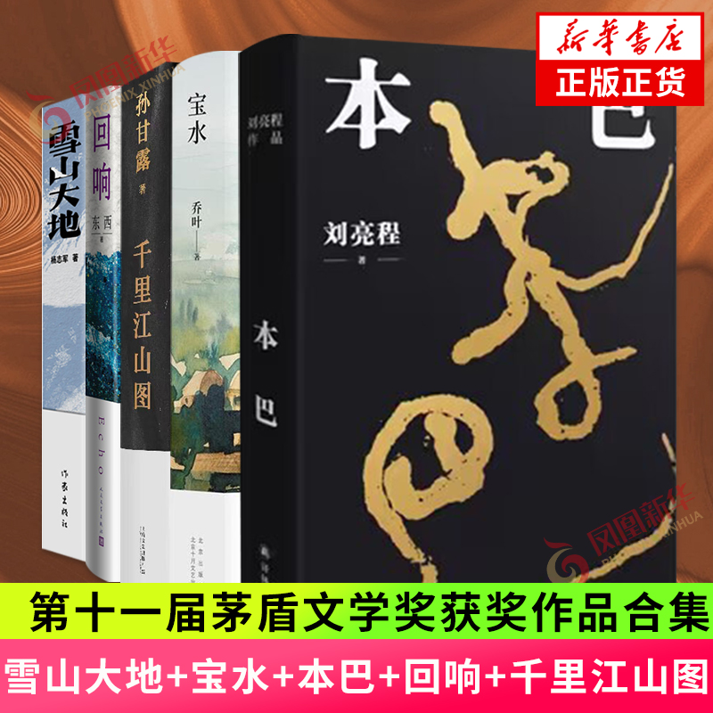 【任选】第十一届茅盾文学奖全套雪山大地回响本巴宝水千里江山图燕食记有生金色河流烟霞里远去的白马现当代文学长短篇小说书籍使用感如何?