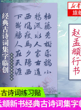 赵孟頫行书-经dian古诗词集字临创双面水写布摹临习练 赵体楷书字帖临摹习教程技法 凤凰新华书店旗舰店正版书籍