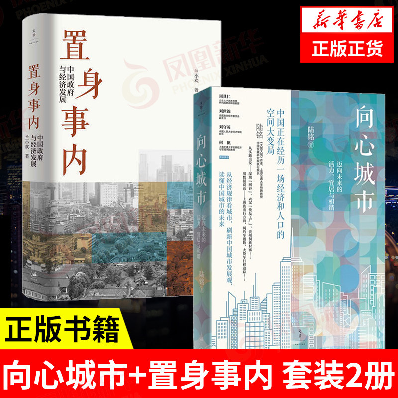 【套装2册】向心城市 陆铭著+置身事内 兰小欢著 中国政府与经济发展 中国经济中国经济史书籍 正版书籍 【凤凰新华书店旗舰店】