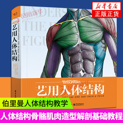 艺用人体结构精装版全彩理解人体形态人体结构骨骼肌肉造型解剖学基础教程动漫素描书入门教材 凤凰新华书店旗舰店正版书籍