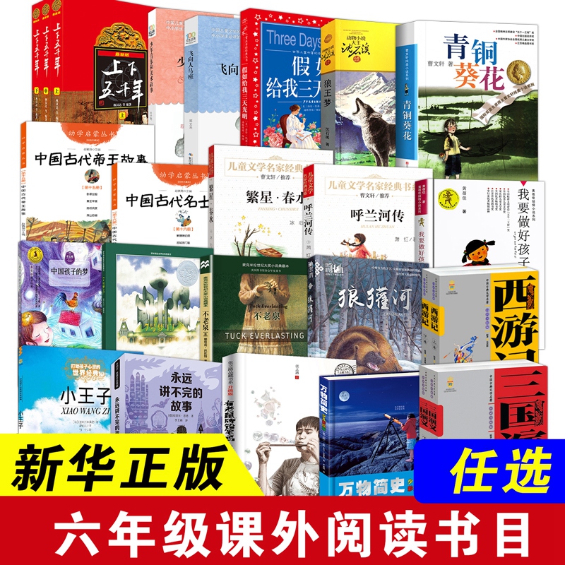 青铜葵花狼王梦小王子西游记