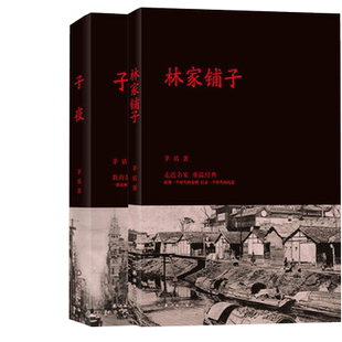 林家铺子+子夜 全2册套装 茅盾文学经典短篇小说代表作 中国现当代名家经典散文集 学生课外阅读书目现当代文学小说作品集正版