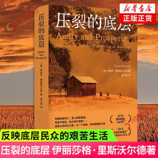 压裂的底层 伊丽莎格里斯沃尔德 美国现当代文学作品反映底层民众的艰苦生活 凤凰新华书店旗舰店正版书籍