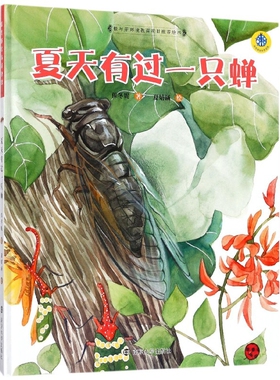 夏天有过一只蝉保冬妮绘本/图画书/少儿动漫书南京大学出版社凤凰新华书店旗舰店