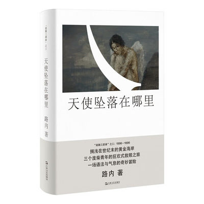 天使坠落在哪里 路内追随系列路内追随系列路内作品  上海文艺出版社 凤凰新华书店旗舰店