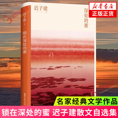 锁在深处的蜜 迟子建散文自选集 名家经典文学作品选集 中国近代随笔 迟子建散文集 文学创作漫谈札记 正版书籍凤凰新华书店旗舰店