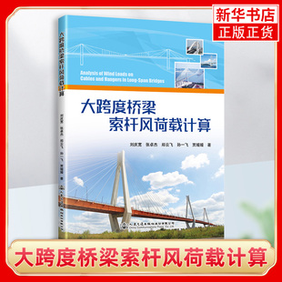 大跨度桥梁索杆风荷载计算刘庆宽桥梁工程和风工程相关的科研设计及施工等技术人员使用教材工业运输【凤凰新华书店旗舰店】