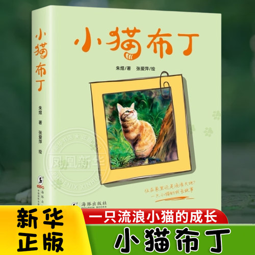 小猫布丁 一只流浪小猫的成长 8-10-12岁儿童文学三四五六年级小学生阅读课外书 海豚出版社【凤凰新华书店旗舰店】