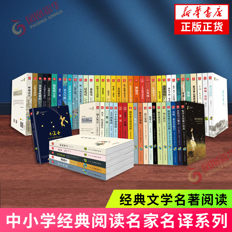 中小学经典阅读名家名译系列名著 双城记海底两万里呼兰河传城南旧事朝花夕拾呐喊骆驼祥子等等 课外阅读书目世界名著外国小说正版