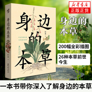 身边的本草200幅全彩插图26种本草的前世今生植物园艺中药跨历史文学医学园艺等学科科普知识传统文化进化论神农草药