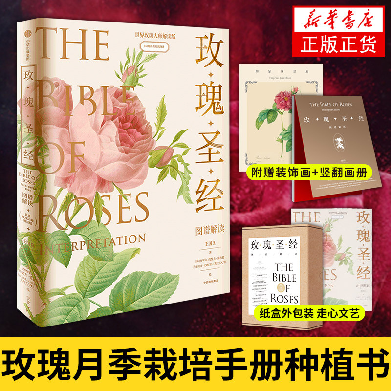 【附送画册+装饰画】玫瑰圣经 图谱解读 王国良等著 无穷小亮张辰亮 玫瑰科普书玫瑰月季栽培手册种植书