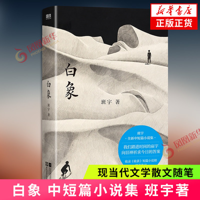 白象 班宇 中短篇小说集 收录飞鸟与地下狐及其友关河令清水心跳 冬泳逍遥游作者作品 现当代文学散文随笔 凤凰新华书店正版