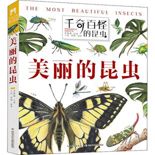 千奇百怪的昆虫 美丽的昆虫  孩子爱不释手的昆虫翻翻书 立体书 儿童3d 3-6-8岁小学生亲子阅读幼儿一年级二年级益智读物