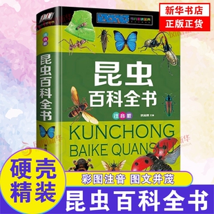 昆虫百科全书 注音版6-12岁儿童百科知识全书一二三年级小学生课外书阅读自然界昆虫生物动物拓展科普书籍十万个为什么绘本