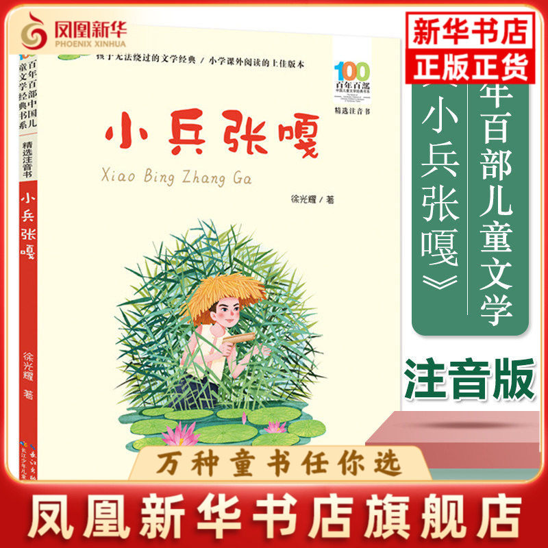 小兵张嘎彩图注音版百年百部中国儿童文学书系徐光耀著红色儿童文学阅读书目一二三年级小学生课外阅读书籍寒暑假