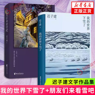 我的世界下雪了+朋友们来看雪吧全2册【随书附送迟子建手写信】迟子建散文典藏系列 温暖与百感交集的旅程 中国现当代文学散文随笔
