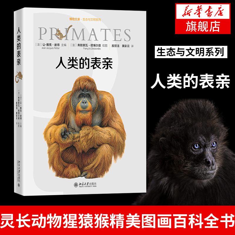 人类的表亲-博物文库.生态与文明系列(精装版) 让-雅克·彼得灵长类百科全书 科普读物 灵长动物猩猿猴精美图画百科全书