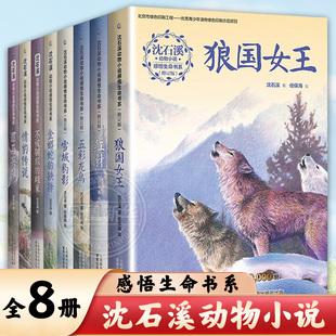 沈石溪动物小说全集感悟生命书系狼国女王警犬冷焰全12册6-12周岁中小学生课外阅读儿童文学狼王梦作者著黄金蟒之子的复仇