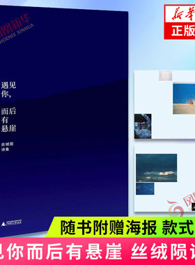 遇见你而后有悬崖 丝绒陨诗集 词语景观 爱的险境 一位当代精神漫游者的肖像 我们机械日常的升华与变奏中国现当代诗歌正版书籍