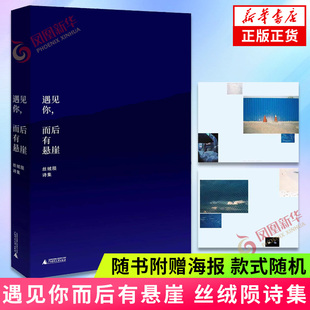 词语景观 肖像 书籍 一位当代精神漫游者 丝绒陨诗集 升华与变奏中国现当代诗歌正版 爱 我们机械日常 遇见你而后有悬崖 险境