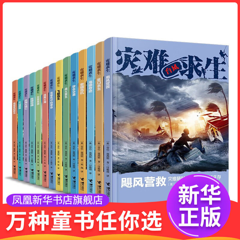灾难求生儿童小说系列（套装14册）