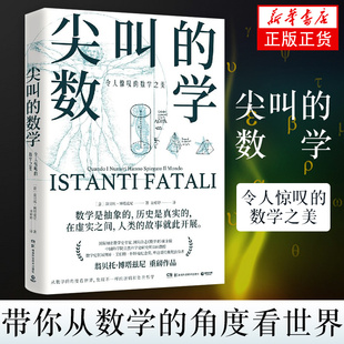 尖叫的数学 令人惊叹的数学之美 数学史杂志《数学史》前主编翁贝托 博塔兹尼带你从数学的角度看【凤凰新华书店旗舰店】