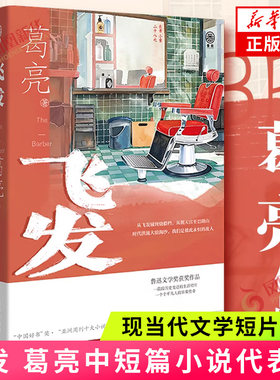 飞发 葛亮中短篇小说代表作 第八届鲁迅文学奖获奖作品 关于人的命运与尊严的故事 现当代文学短篇小说故事集 凤凰新华书店正版