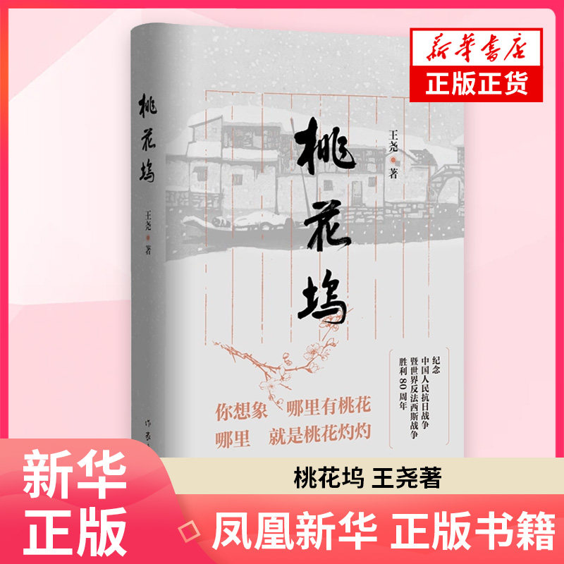 桃花坞 王尧著 苏州桃花坞大街方家和黄家两户文人家庭的命运 中国近代小说 作家出版社 现当代文学散文随笔 新华书店正版