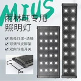 Миус Одиссея Лесной лес Леса леса Боксерский боксерский аквариум светодиодный освещение водное леса