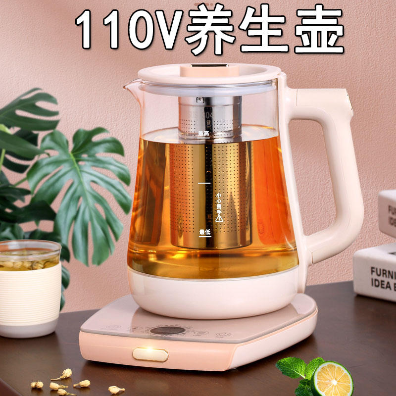 出口小家电110v养生壶美规玻璃多功能煮黑茶花茶壶美国加拿大用