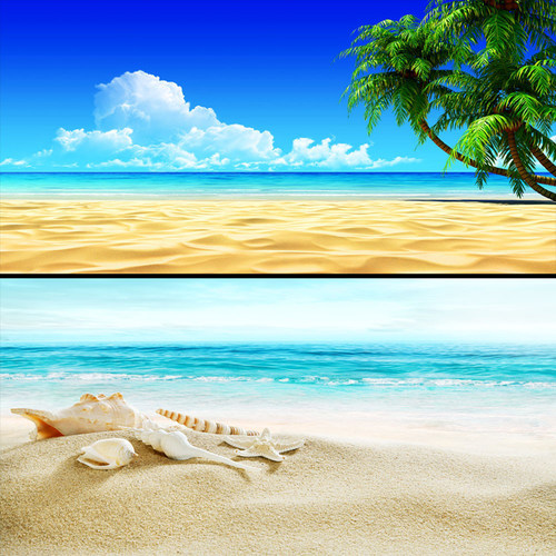 鱼缸背景画壁纸鱼缸背景贴纸