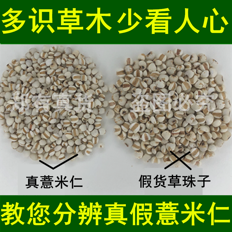 薏米仁正品小粒 贵州农家晒薏苡仁 新货煮粥 可搭淮山药芡实 茯苓