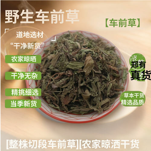 野生无硫新货车前草切段500克