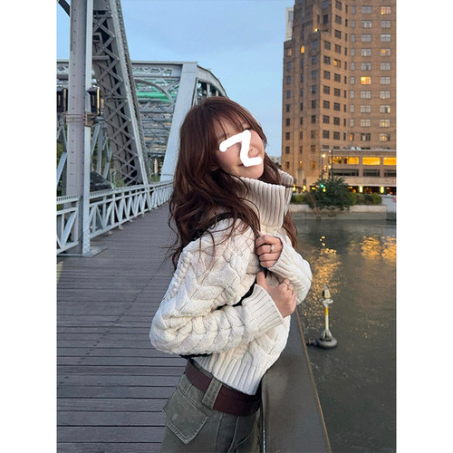 Drawdream 复古立领绞花拉链针织开衫女秋冬宽松加厚短款毛衣外套
