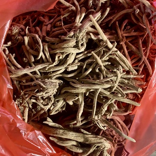 牛口刺鸡母刺新鲜野菜鸡脚刺萝卜蚁姆刺蓟虎蓟根头苗白马刺大蓟根