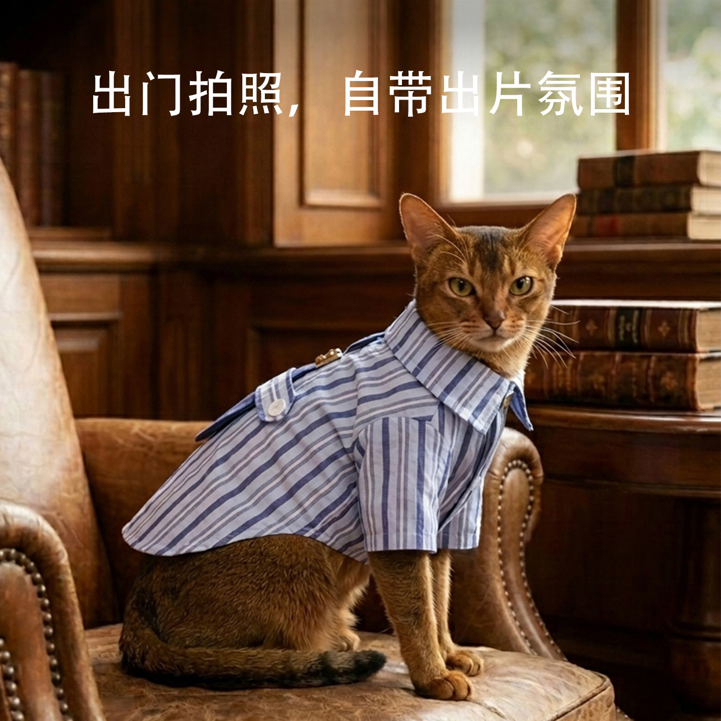 嬉皮狗猫咪防掉毛衣服德文阿比雅痞学院风衬衫薄款透气棉质狗衣服
