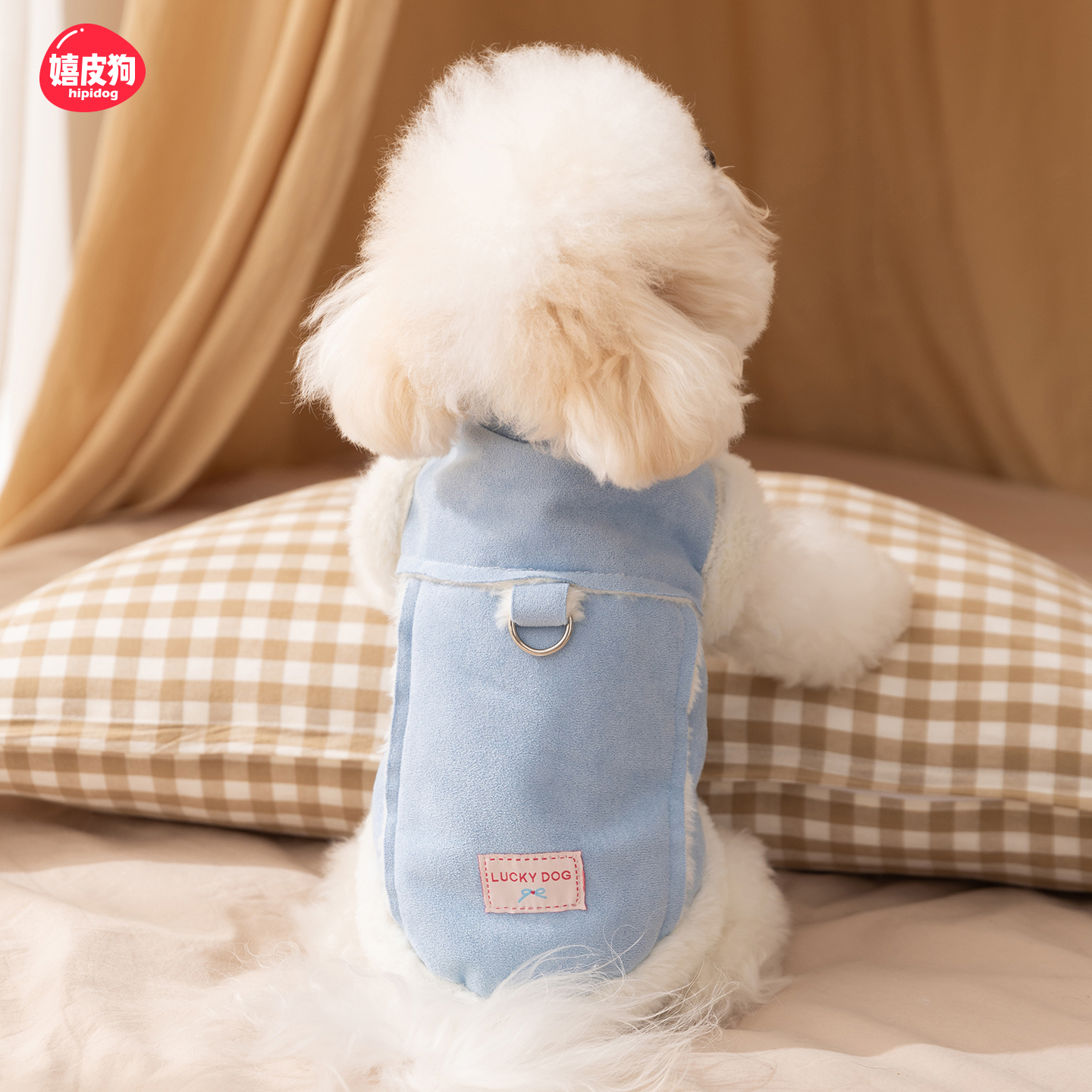 麂皮绒马甲冬天加厚狗狗衣服冬装泰迪比熊宠物小型犬柯基冬季棉衣
